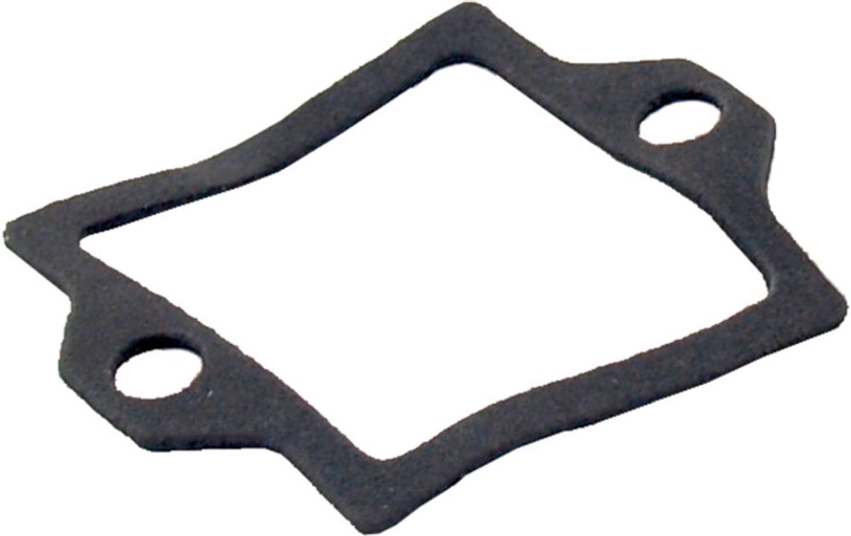 Wolf Pakking testnippel voor CGB, 390316799