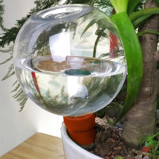 Bollen voor irrigatie, waterballonnen voor kamerplanten, irrigatieapparaten voor planten, automatisch irrigatieapparaat voor balkon, binnen, voor bloempotten — afbeelding 2