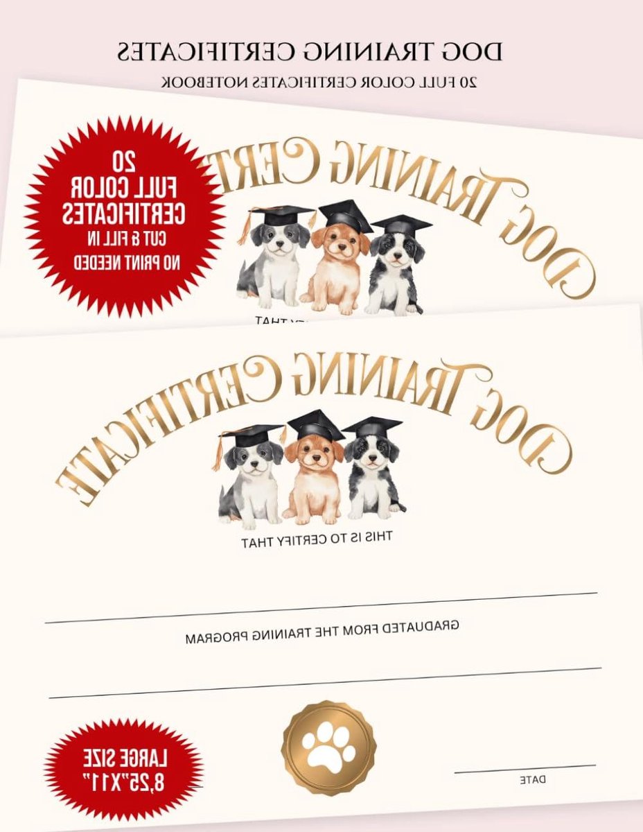 Oorkonde Hondentraining - Certificaat Puppy - Vastleggen Prestatie - 20 Volledig Bedrukt - A4 Formaat - Full Color