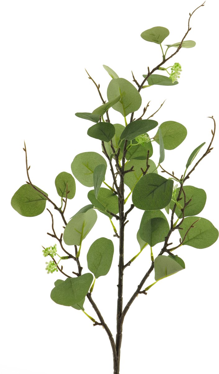 Bellatio Design Kunsttak / kunstbloem Eucalyptus - 92 cm - groen - boeket opvulling bladgroen