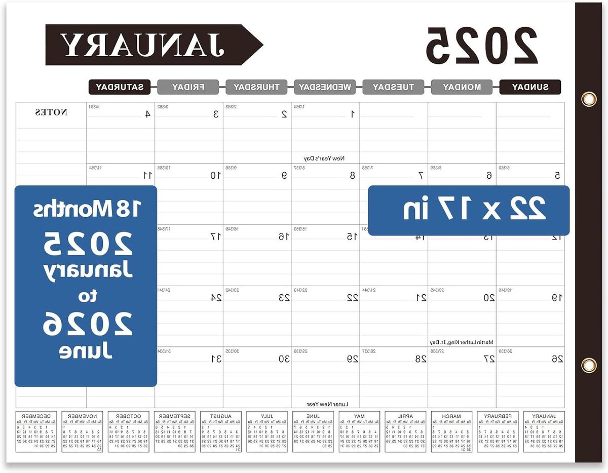 Bureaukalender 2024-2025 - Dagplanner Maandplanner - Afspraken Plannen - Extra Ruime Schrijfruimte - 22 x 43 cm - Wit