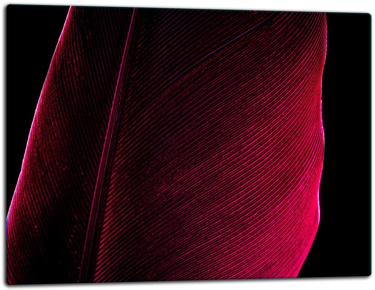 TMK ArtDeko - Snijplank - Glas - 52x40cm - Levende Kleuren