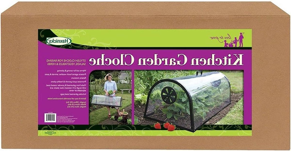 Keuken Tuin Cloche - Plantenkasje Groeikap - Planten Beschermen - Vocht Vasthoudend - 100x45x35 cm - Transparant