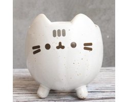 Plant Pot Succulent Flower Pot Cactus Pot Planter Bonsai Succulente Plant Pot Met Gat Schattige Dieren Bloem Planter Bloem Pot Mooie Kleine Kat Tuin Decor Bloem Potten Bonsai Verjaardagscadeau-Wit_S