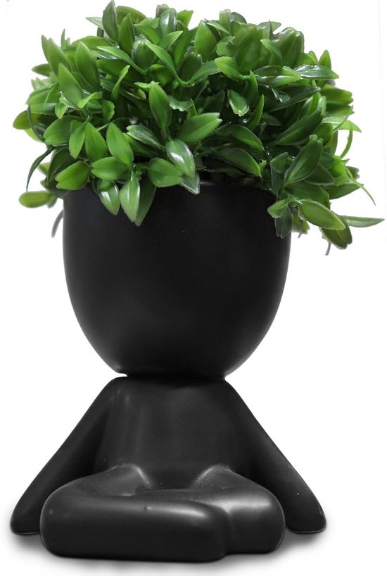 Zerzsy Mini vetplant, schattige bureaudecoratie, bureauplant voor vrouwen, kantoordecoratie, schattige nepplant badkamerdecoratie - set van 1