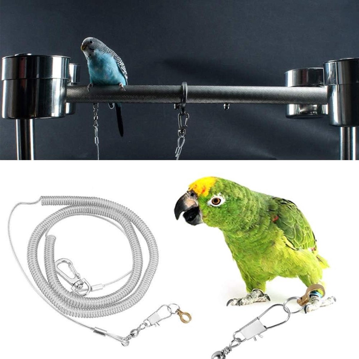 Vogel Vlieglijn - Papegaai Harnas - Vliegen Oefenen - 6 Meter Lengte - 4.5mm Ring - Zilver