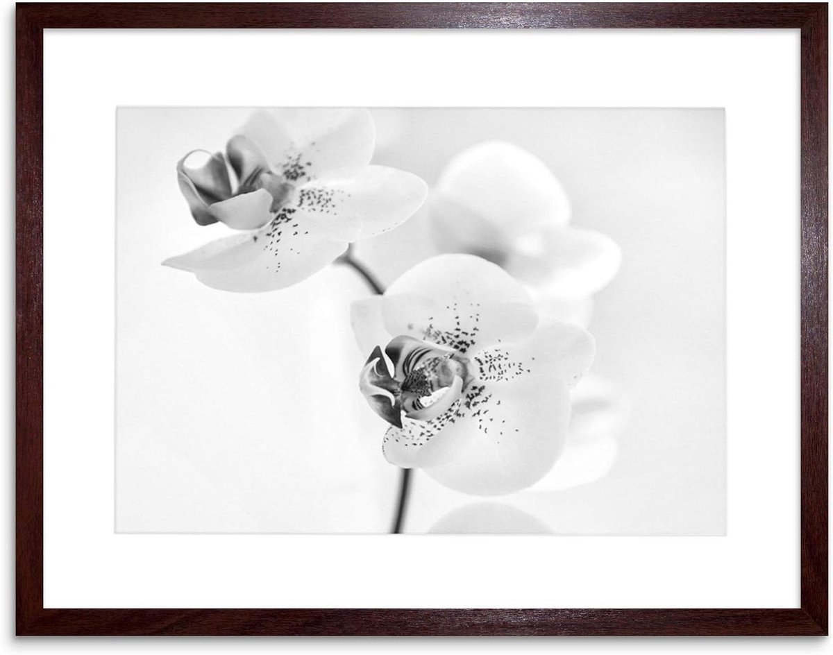 Natuur Schilderij - Bloemen Poster - Wanddecoratie Kamer - Canvas Print - 41 x 30 cm - BRON
