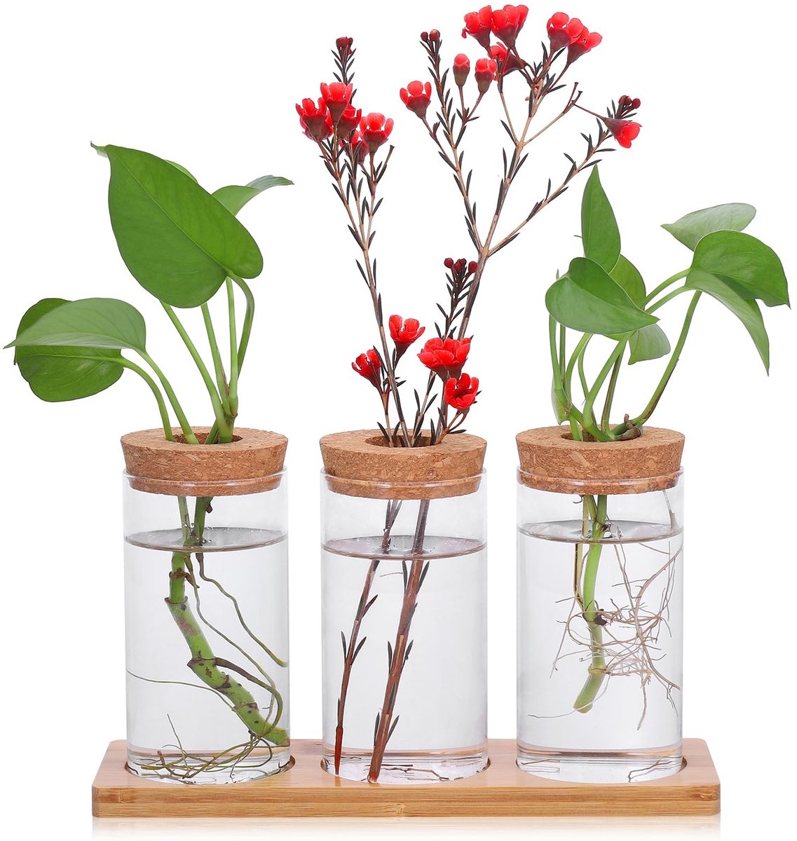 Dailygoods - Dailygoody - Propagatiestation - Hydrocultuur Vaas - Decoratief en Functioneel - Houten Sokkel - Plantenvermeerdering - Perfect voor Keuken en ..