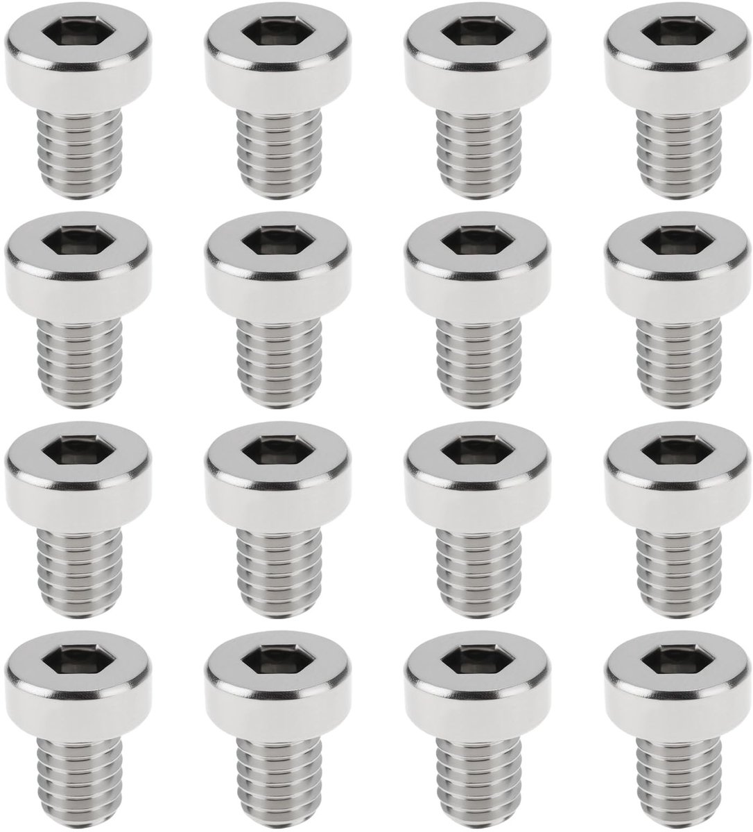 Dailygoods- Bevestigingsschroeven 16 stuks - M6 x 8 mm - Roestvrij