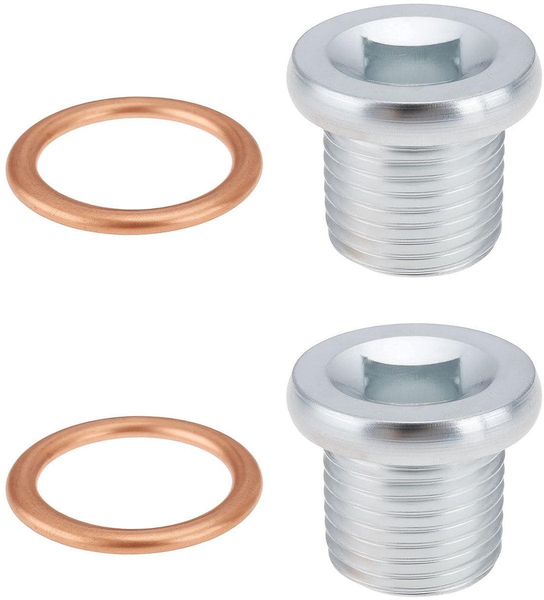 Dailygoody - Olieaftapplug - 2 Stuks M16 x 1.5mm - Inclusief Koperen Ringen - Geschikt voor Auto - Hoogwaardige Kwaliteit - Perfect voor Rover en Citroë
