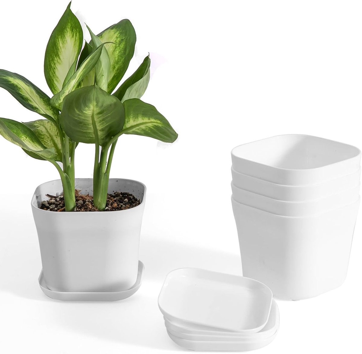 Set van 5 Plastic Kweekpotten met Afvoergaatje en Onderzetter voor Groenten, Bloemen, Cactussen en Vetplanten - 12 cm formaat