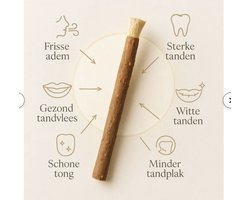 Kureysi Miswak - Misvak - De traditionele Natuurlijke Tandenborstel - Sewak Al-Kureysi - Arak - Medium - Siwak - Sivak