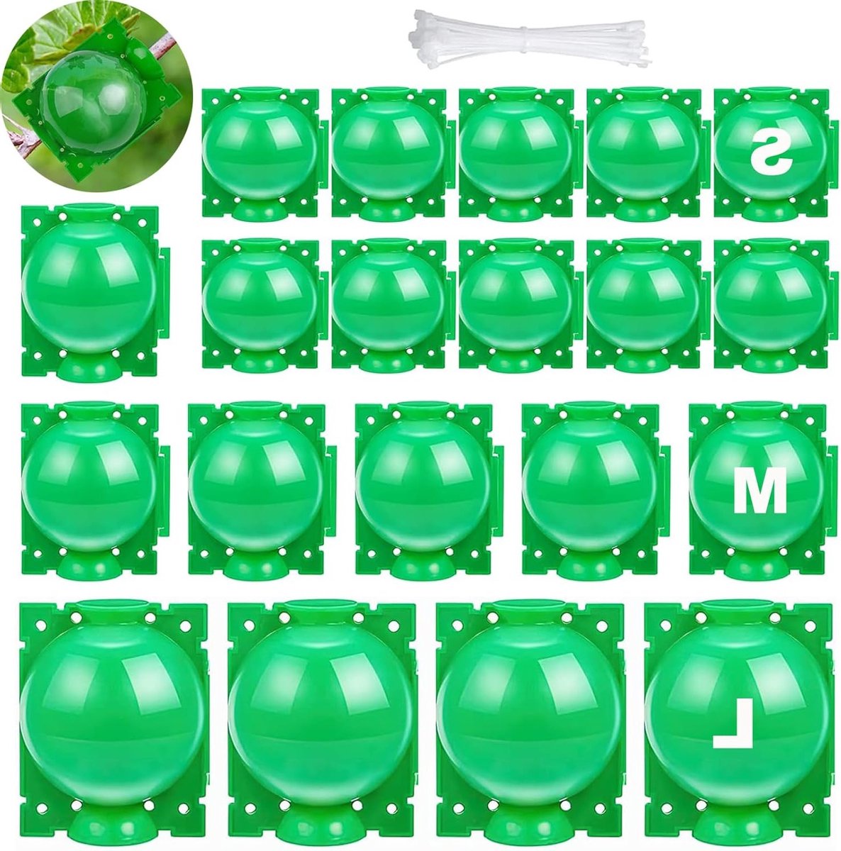20 Stuks Plant Rooting Device voor Effectieve Wortelgroei, Plant Propagatie en Versteviging, Geschikt voor Binnen en Buiten (S+M+L, Groen)