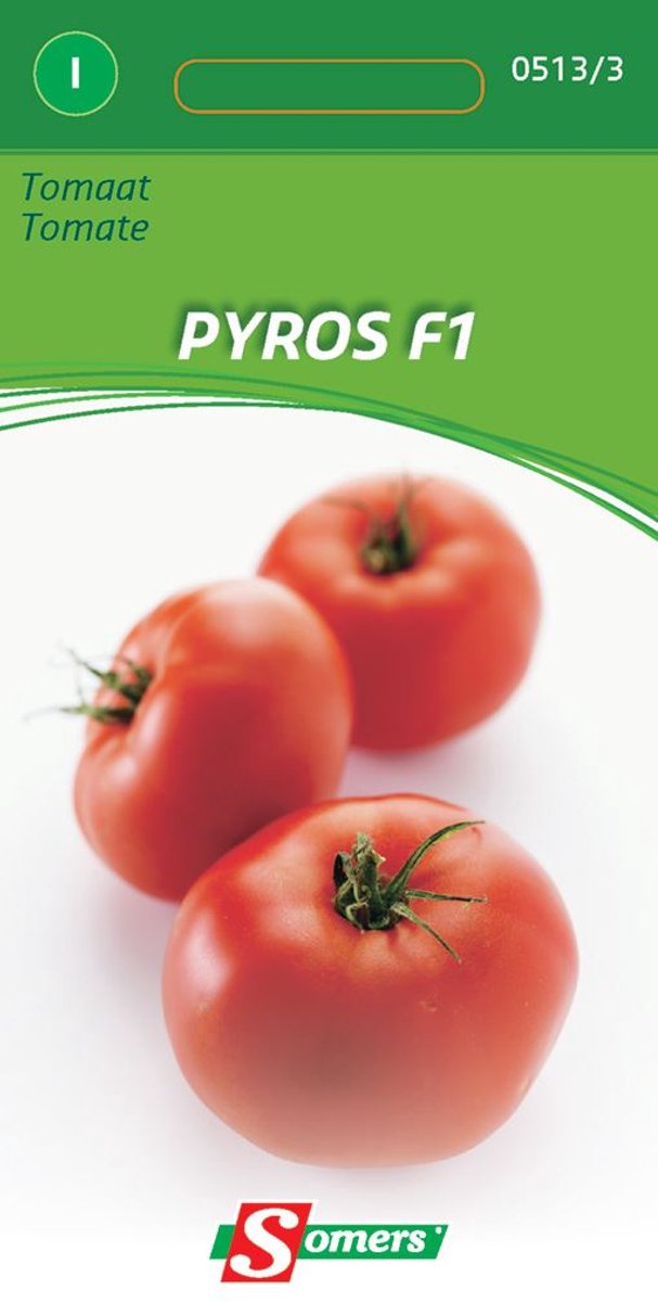 Somers zaden - Tomaat Pyros F1