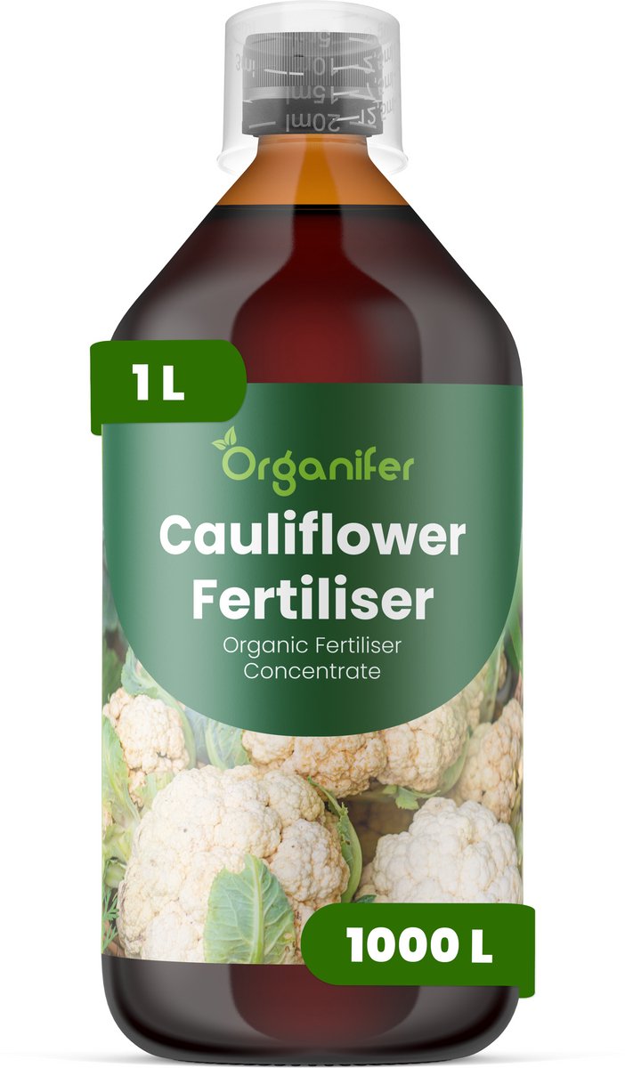 Vloeibare Meststof Voor Bloemkool 1 L Voor 1000 L - Npk 2-1-8 - Kruisbloemig Gewas - Sterke Wortelontwikkeling - Uniforme Kropgrootte - Bladomsluiting - Stressbestendig - Brassica-Groenten - Organifer