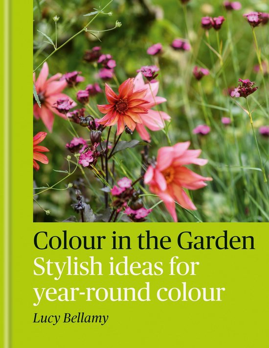 Colour in the Garden - cover