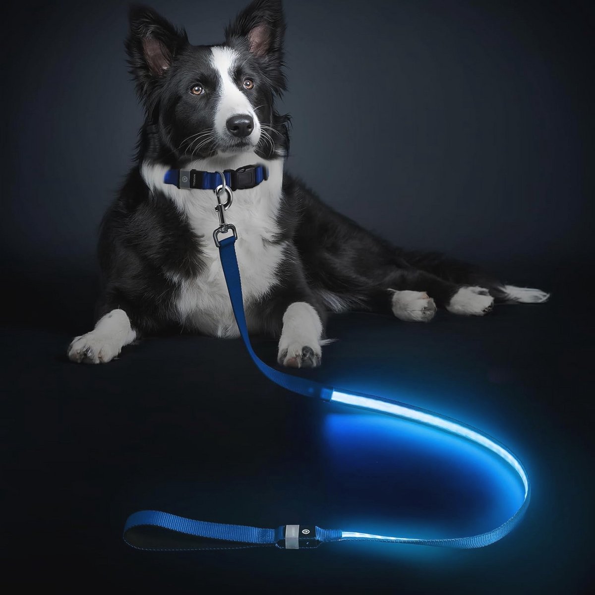 Oplaadbare Led-hondenriem voor ultieme zichtbaarheid en veiligheid - Waterdicht en met 3 verlichtingsmodi