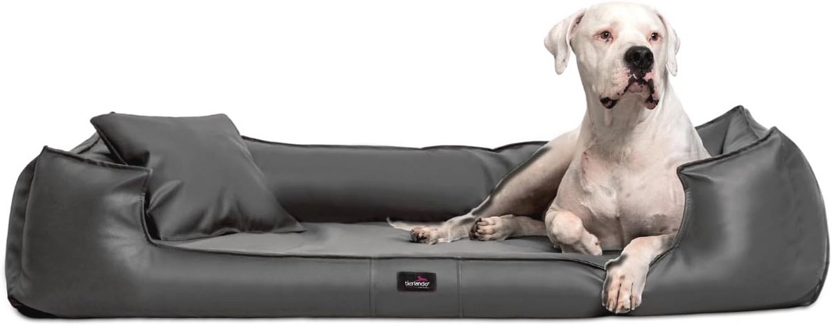Orthopedisch hondenbed XXL+ voor grote honden met matrasbeschermer - Ideaal ligcomfort en hygiëne