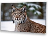 Majestueuze lynx in de sneeuw - Lynx schilderij - Wanddecoratie canvas dieren - Realistische kunst - Schilderijen op canvas industrieel - Schilderijen - canvas 150x100 cm