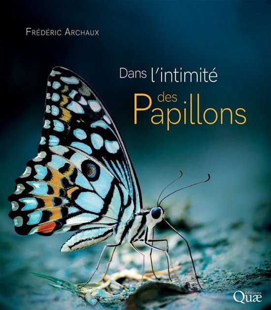 Beaux livres - Dans l'intimité des papillons