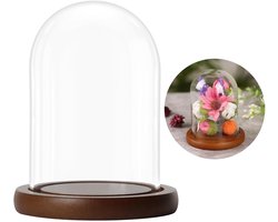 Belle Vous Glazen Stolp Pot met Bruin Houten Basis - 9,4 cm - Doorzichtig Decoratieve Tafeltop Display Bak met Tray voor Fee Lichten, Kopstukken en Antieke Items Belle Vous Glazen Stolp Pot met Bruin Houten Basis - 9,4 cm - Doorzichtig Decoratieve Tafeltop Display Bak met Tray voor Fee Lichten, Kopstukken en Antieke Items