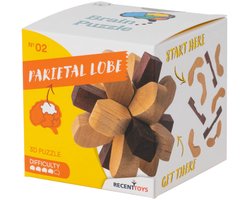 Recent Toys houten breinbreker puzzel Parietal Lobe - Brain Puzzle 2.