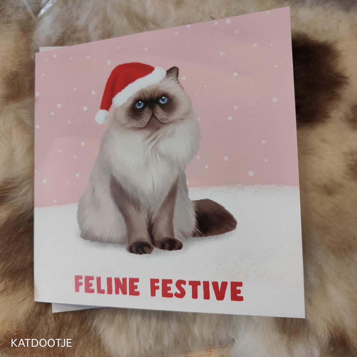 Katdootje - Kaart - Kerst Feline