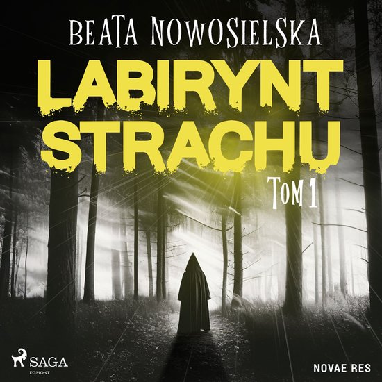 Labirynt strachu. Tom 1 - cover