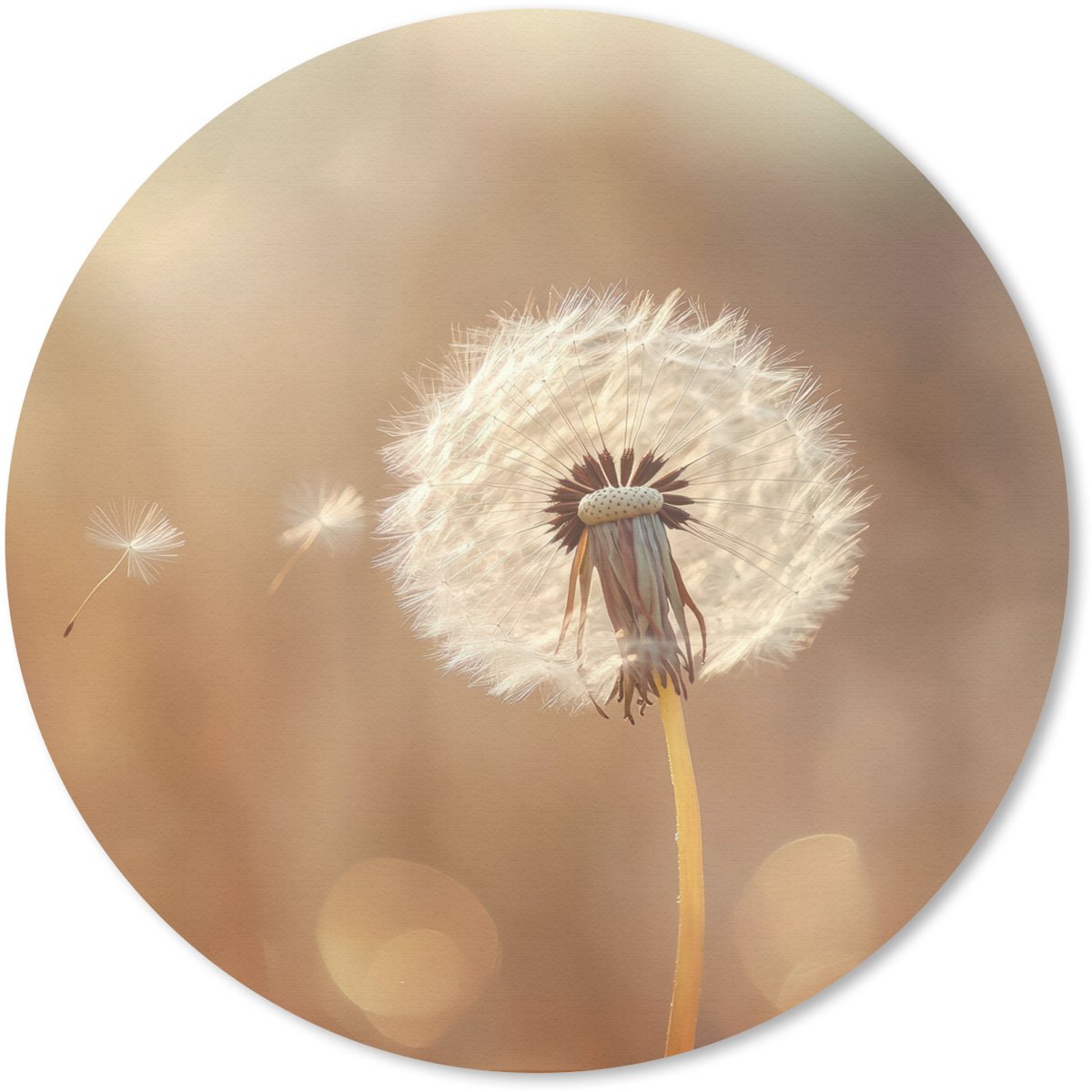 Muismat rond 40x40 cm - Mousepad Paardenbloem - Beige - Natuur - Bloem - Ronde muismatten
