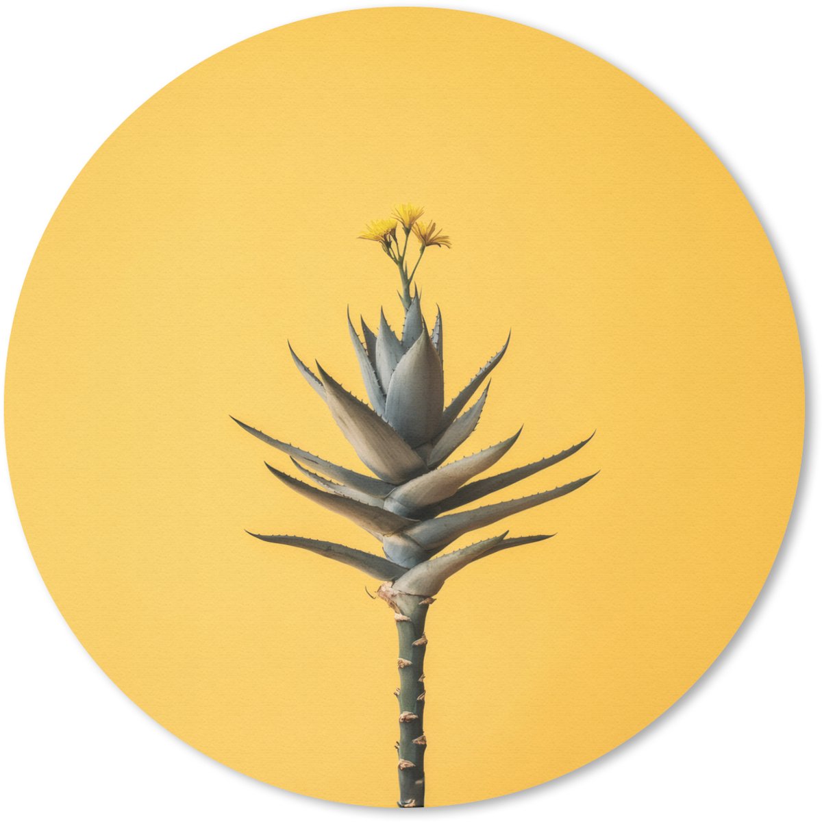 Muismat rond 50x50 cm - Mousepad Plant - Minimalistisch - Bloem - Geel - Ronde muismatten