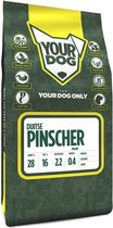 Yourdog duitse pinscher pup - 3 KG