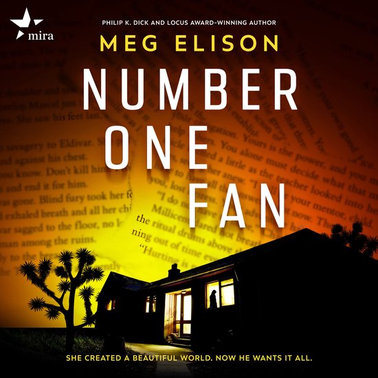 Number One Fan - cover