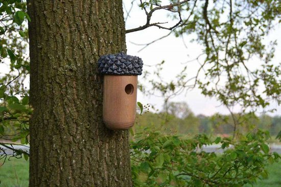 Vogelhuisje in de vorm van een eikel met donkergrijs 'hoedje', bevestigd aan een boom.