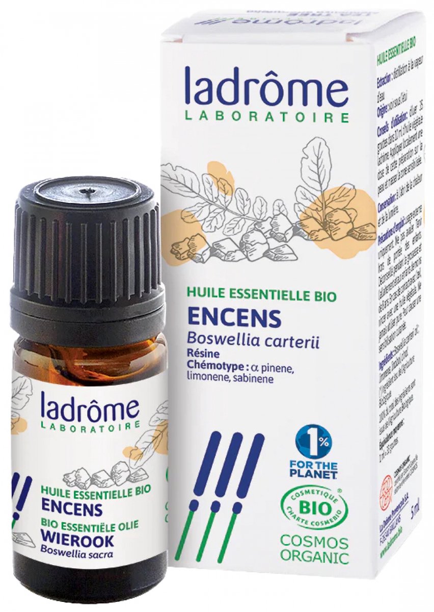 Goedkoopste Pit&Pit - Wierook etherische olie bio 5 ml - Kruidig en fris aroma - Ideaal voor meditatie