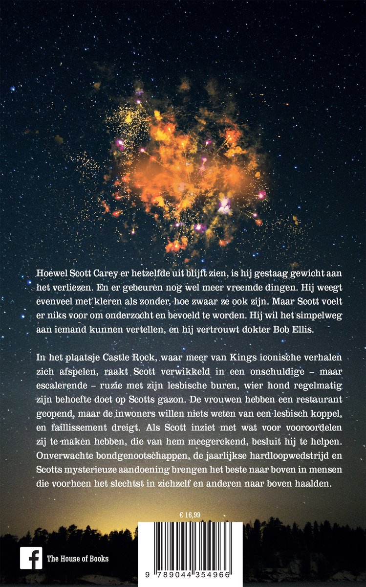 Verlichting - back cover