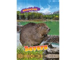 Dieren in het wild - Bevers