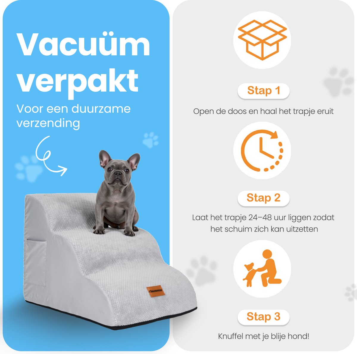 Schattige Dachshundpuppy Black En Tan Staan Op Een Speciale Oprijplaat Voor Honden Met Lange Ruggengraat Korte Poten Om Trauma S Image214521129