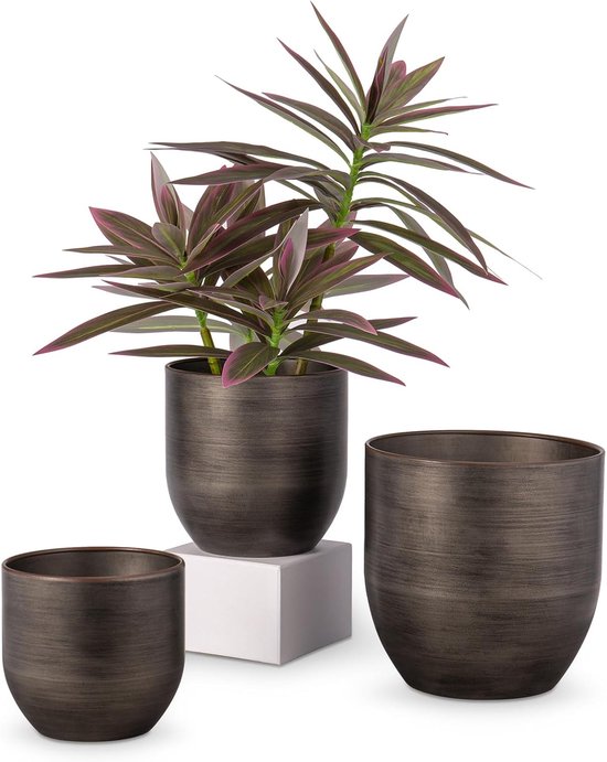 Advies over planten verpotten? Info & tips van