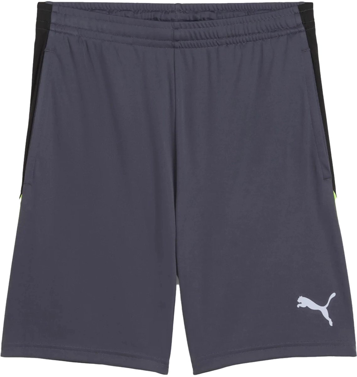 Puma Liga Korte Broek Grijs