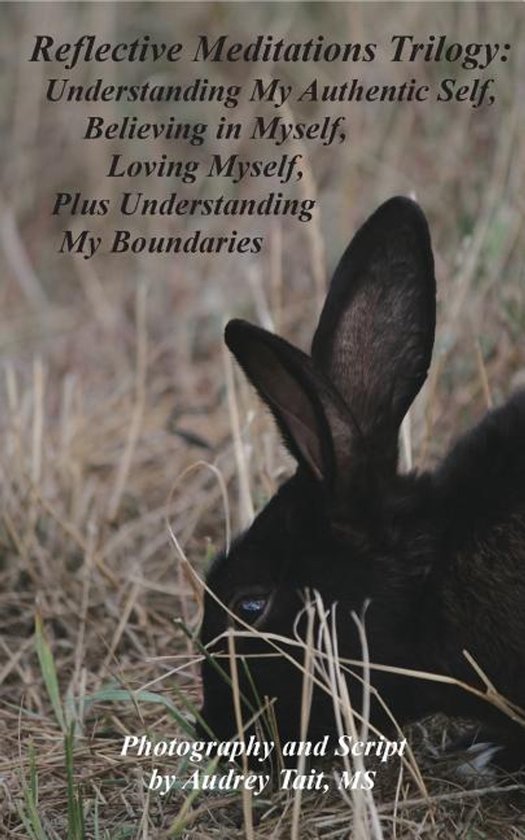 Reflective Meditations Trilogy - cover