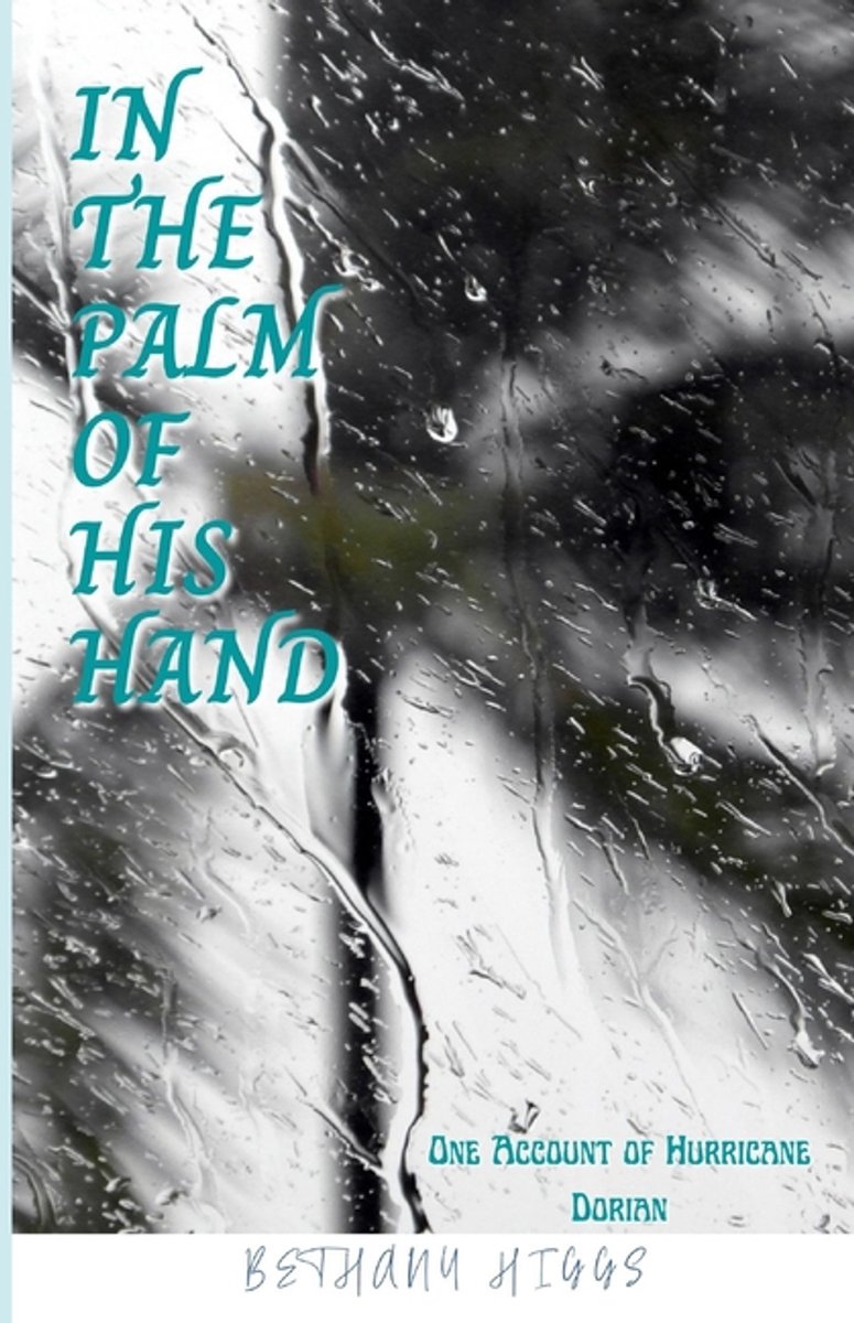 In The Palm Of His Hand van Bethany Higgs