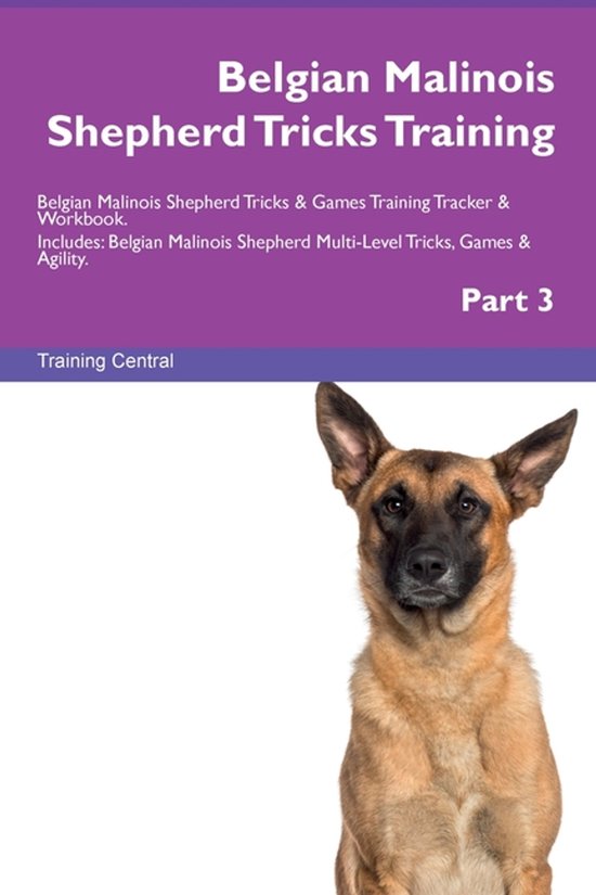 Belgian Malinois Shepherd Tricks Training Belgian Malinois S ... - cover