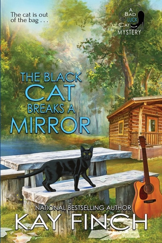 Bad Luck Cat Mystery-The Black Cat Breaks a Mirror