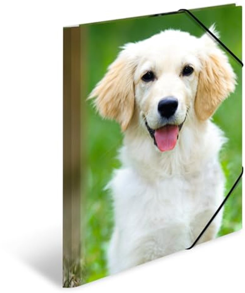 HERMA mappen A4 hondenset, 3-delig, kinderhoekmappen van kunststof met dierenmotief, elastische band, binnenkleppen en binnenprint voor jongens en meisjes