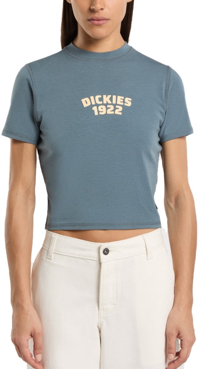 DICKIES DK0A4Z8FG701 CENTER LOGO Blauw S EU