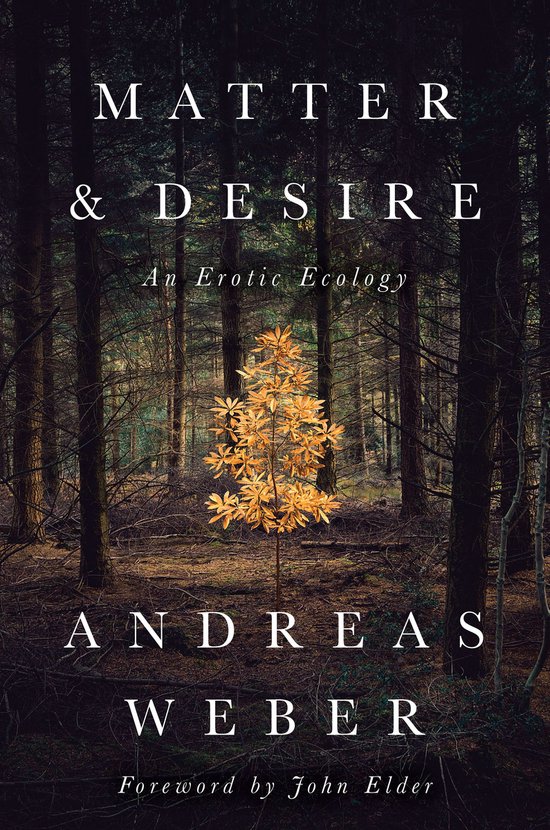 Matter and Desire - cover