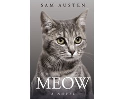 The Meow Library- Meow Image