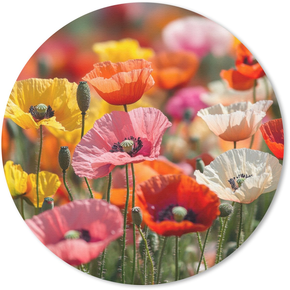 Muismat rond 20x20 cm - Mousepad Bloemenveld - Klaprozen - Kleurrijk - Ronde muismatten