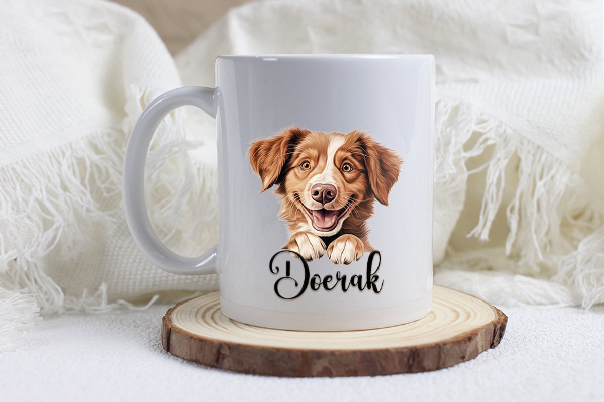 Nova Scotia retriever mok met naam