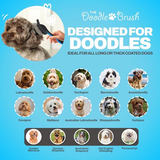 The Doodle Brush – Slickerborstel Voor Honden – Klitvrij Voor Cockapoo, Goldendoodle, Poedel En Langharige Rassen